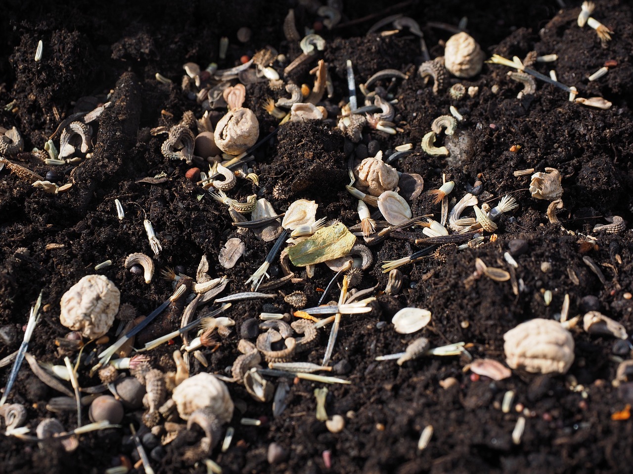 Homemade Seed Starting Pots and Trays